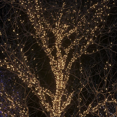Holiday glowing trees — Ver 3