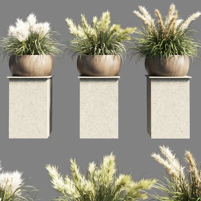 Collection outdoor indoor 70 pot palnt grass the dry pampas stand vase wooden — Ver 1