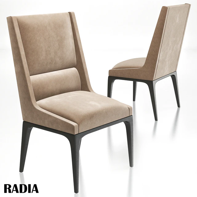 AXIS - radia dining chair — Descargar