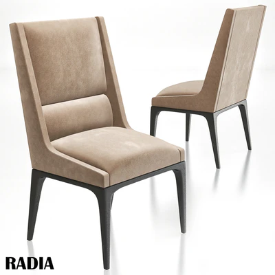 AXIS - radia dining chair — Ver 1
