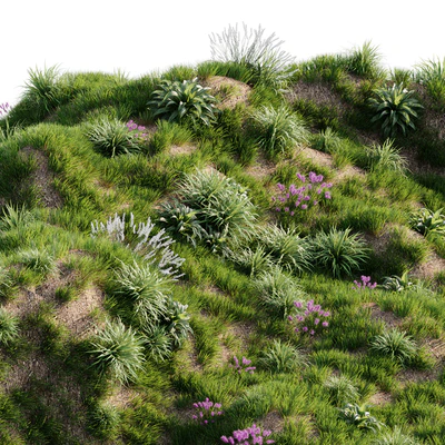 Grass on the slope — Вид 2