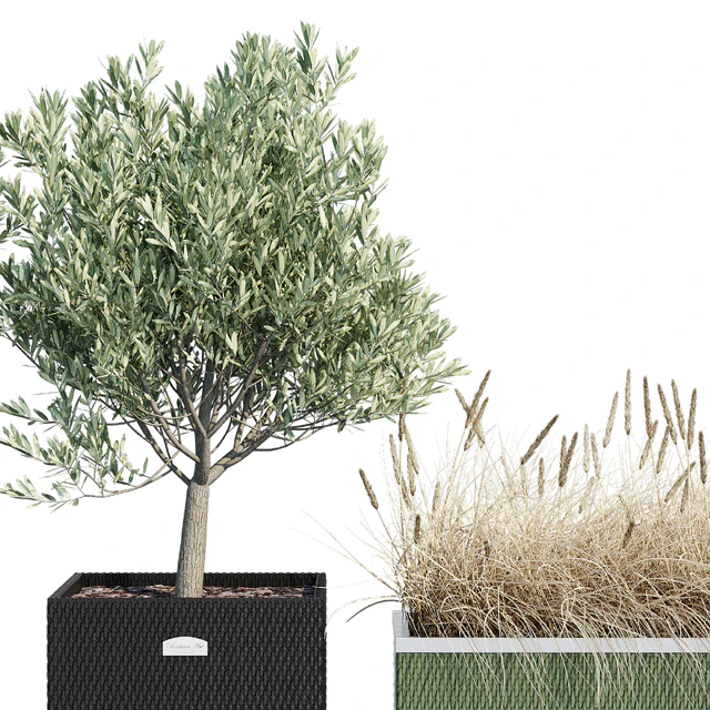 Polyrattan three — Descargar