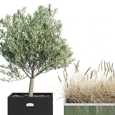 Polyrattan three — Ver 2