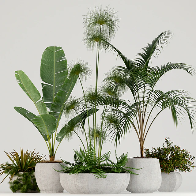 Plants collection 80 — Скачать
