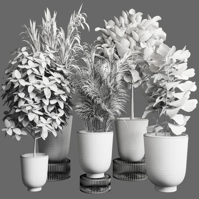 collection Indoor plant 35 -concrete vase — Скачать
