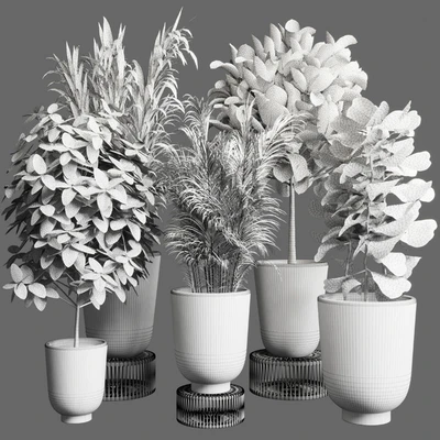 collection Indoor plant 35 -concrete vase — Вид 2