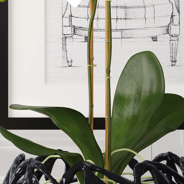 Decoration set 4 by Kelly Hoppen — Скачать