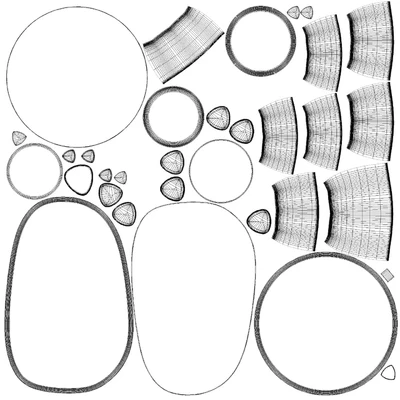 Poliform STRATA 2023.2 Coffee Table — Ver 2