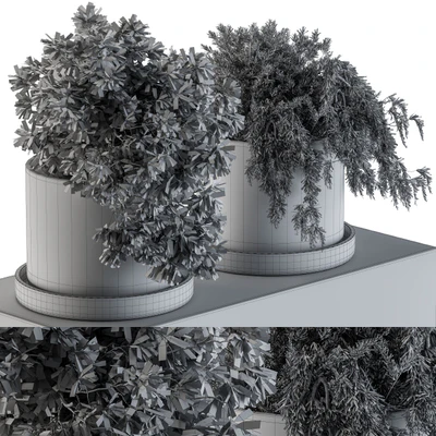 Plants set 47 — Вид 2
