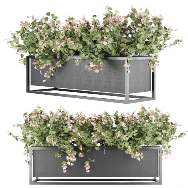 Collection plant vol 15 — Скачать