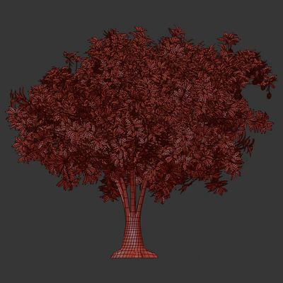 Mango Tree — Вид 2