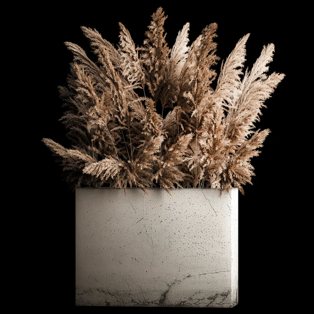 Dried flower bouquet of pampas from dry reeds in a concrete vase of pampas grass, Cortaderia. 268. — Descargar
