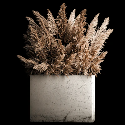 Dried flower bouquet of pampas from dry reeds in a concrete vase of pampas grass, Cortaderia. 268. — Ver 1
