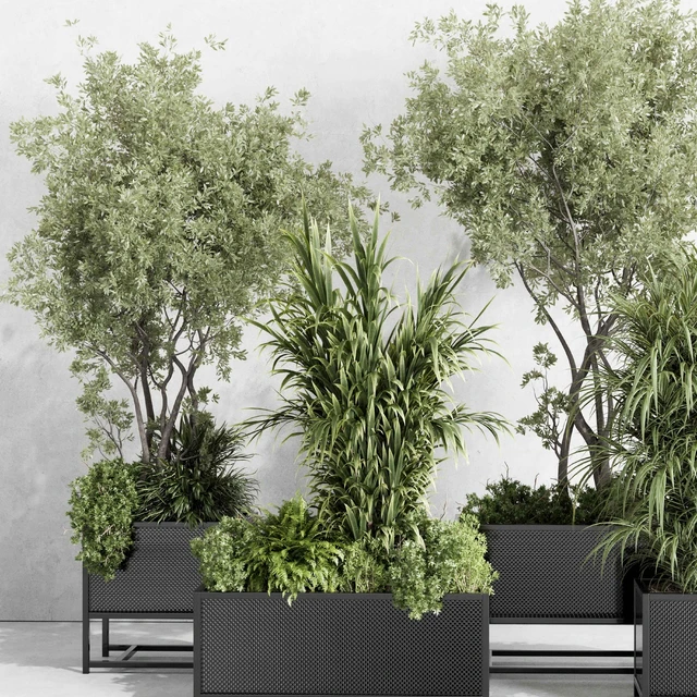 metal box plants on stand - set indoor plant 425 — Скачать