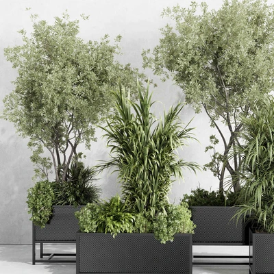 metal box plants on stand - set indoor plant 425 — Вид 2