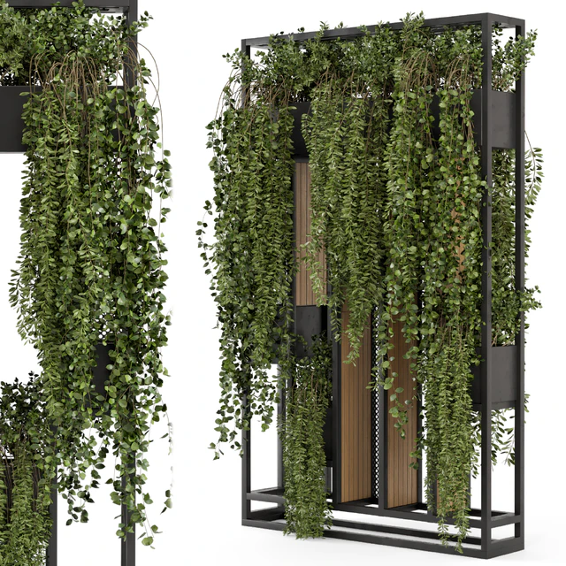 Indoor Hanging Plants in Metal Stand - Set 1005 — Descargar