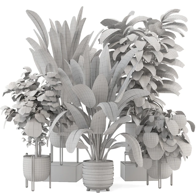 Indoor Plants in Ferm Living Bau Pot Large - Set 1208 — Скачать