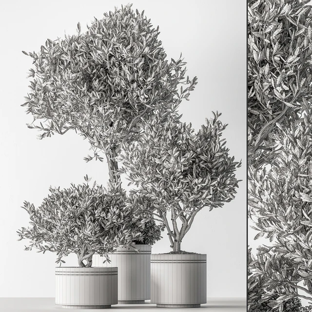 Indoor Plant 660 -Tree in Pot — Descargar
