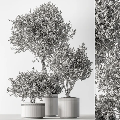 Indoor Plant 660 -Tree in Pot — Ver 2