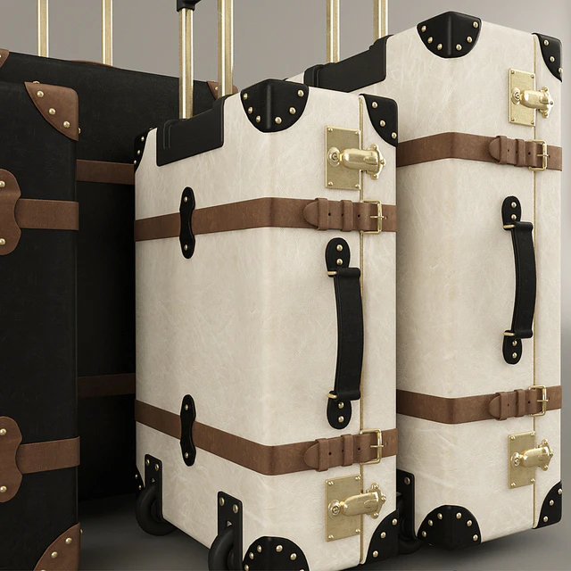 Globe-Trotter suitcases — Descargar