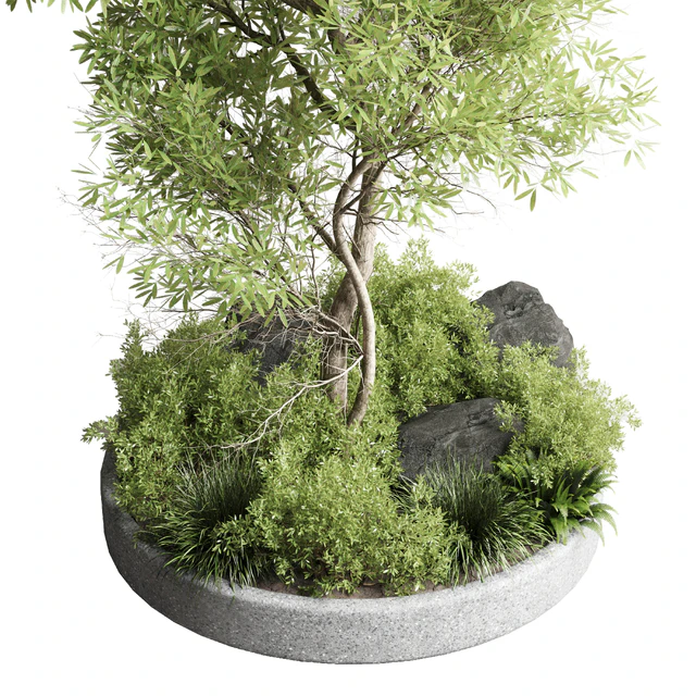 Collection outdoor indoor 85 pot plant & tree & bush — Descargar