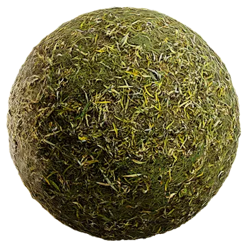 grass and leaves 006 — Скачать