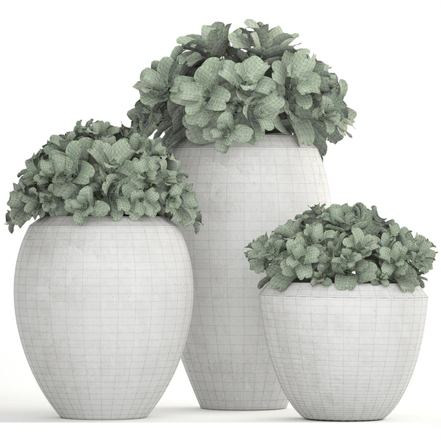 Collection of plants 146. Bush, bushes, garden plants, concrete pot, flowerpot, outdoor, decorative — Descargar