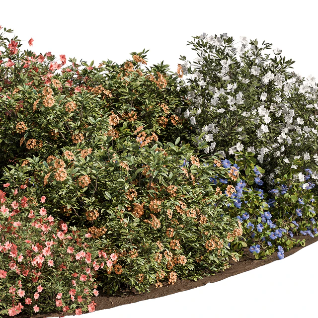 Garden colorful Flower Bush - Set 452 — Descargar