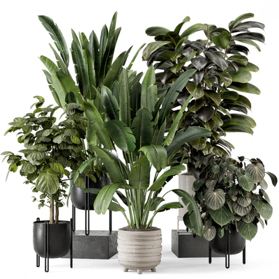 Indoor Plants in Ferm Living Bau Pot Large - Set 1208 — Вид 1