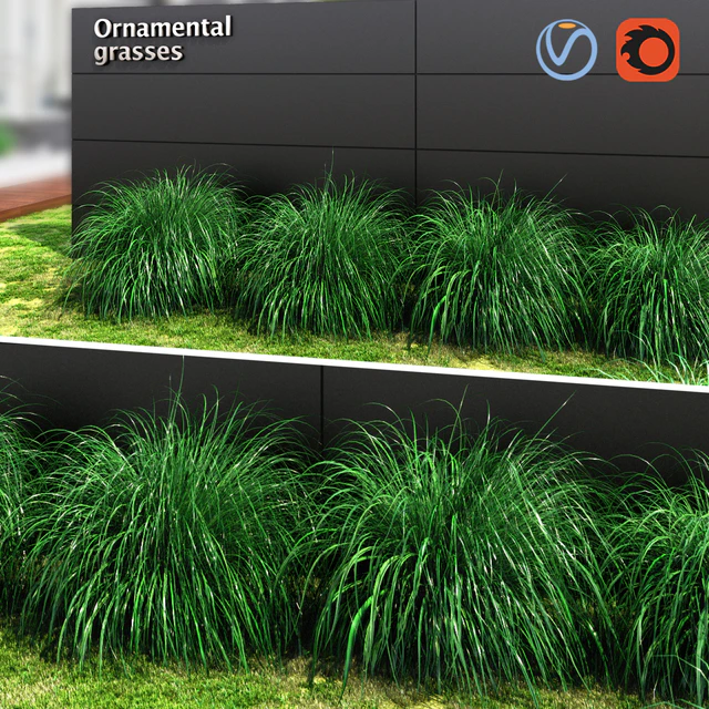Ornamental grass ball — Descargar