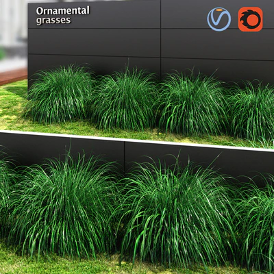 Ornamental grass ball — Descargar