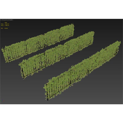 Fence with Ivy v16 — Вид 3