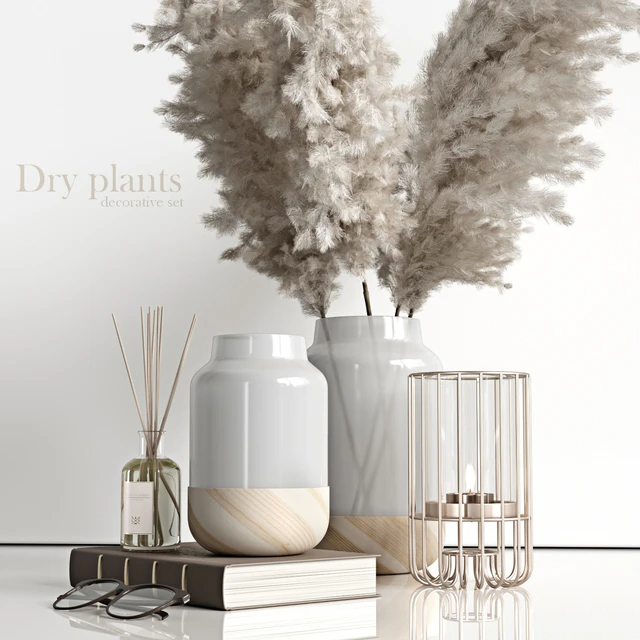 Decorative set with dry plants 4 — Descargar