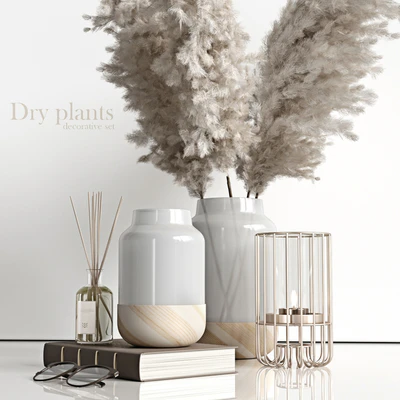Decorative set with dry plants 4 — Ver 3