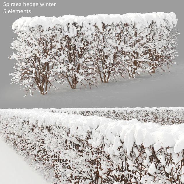 Winter  hedge — Скачать