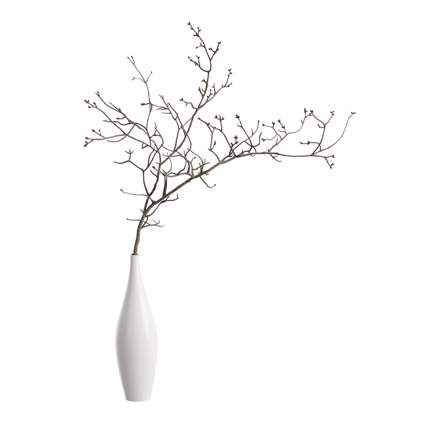 plant twiggy big branch — Descargar