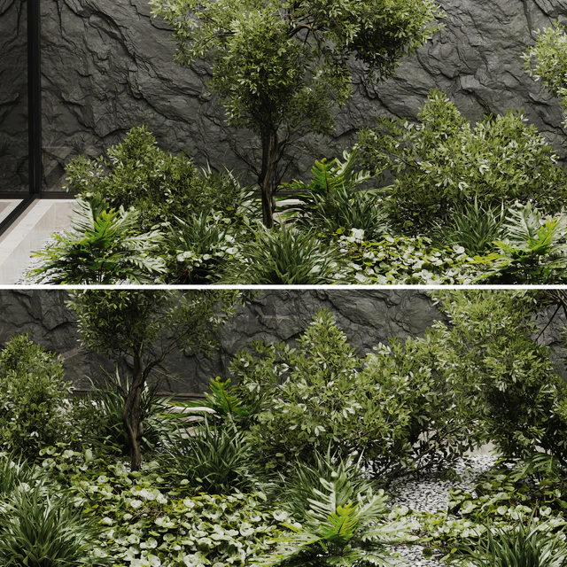 indoor plant set 50 — Descargar