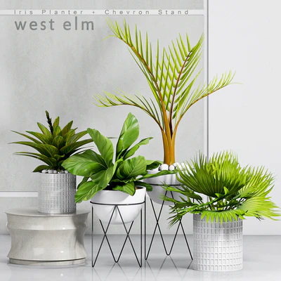 PLANT -30 — Скачать