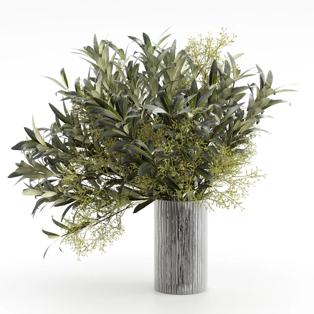 Bouquet of olive branches. — Descargar