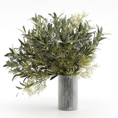 Bouquet of olive branches. — Ver 1