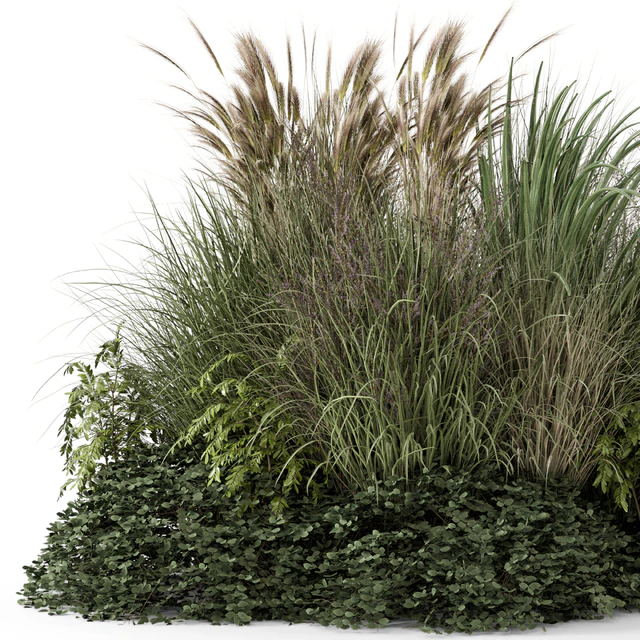 Outdoor Plants Bush -Bush Set 1644 — Скачать
