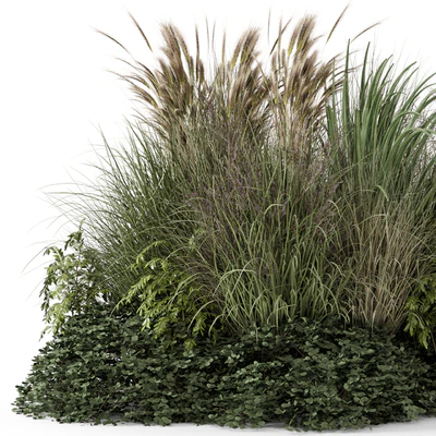 Outdoor Plants Bush -Bush Set 1644 — Вид 4