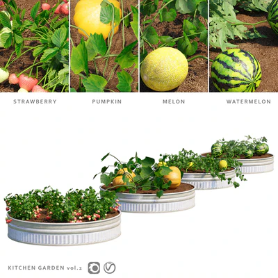 Огород | Kitchen garden.vol 2 — Вид 1