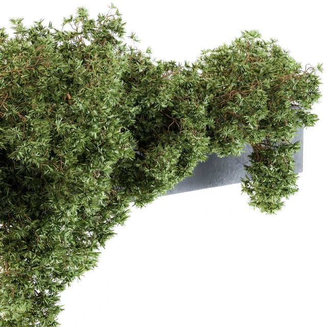 Outdoor Plant Set 103 - Hanging Plants — Скачать