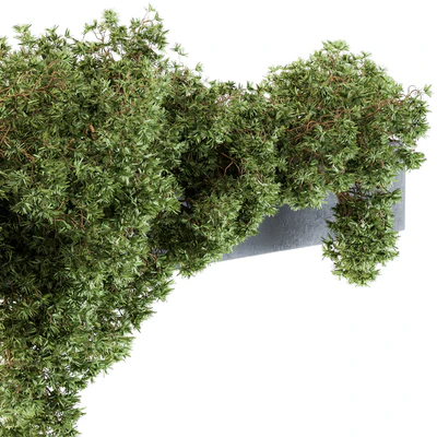 Outdoor Plant Set 103 - Hanging Plants — Вид 2