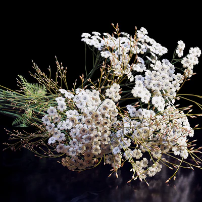 Bouquet 08 — Вид 2