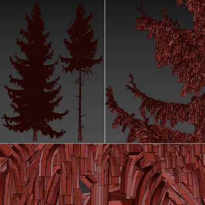 Pine Spruce — Вид 2