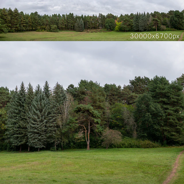 Осенняя панорама с деревьями. 30к — Скачать