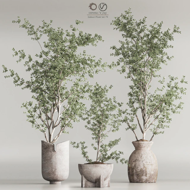 Indoor Plant Set 79 — Descargar