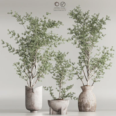 Indoor Plant Set 79 — Ver 2